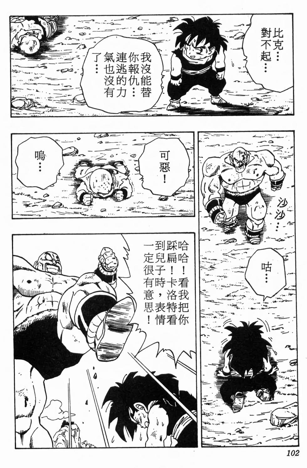 第100页