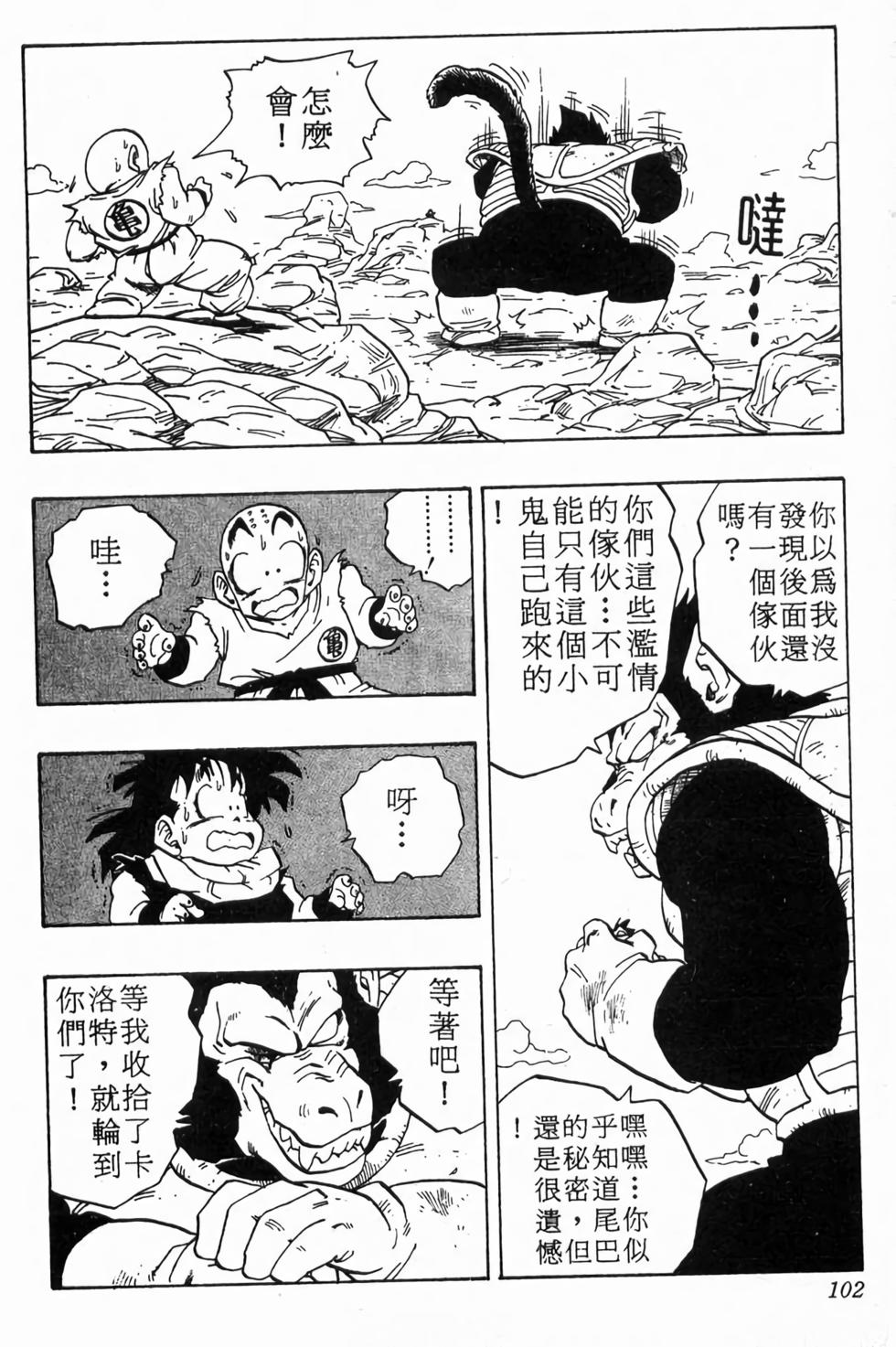 第100页