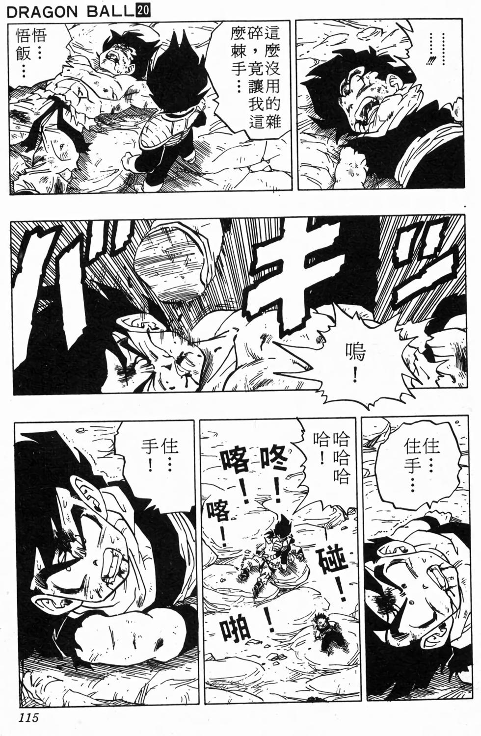 第113页