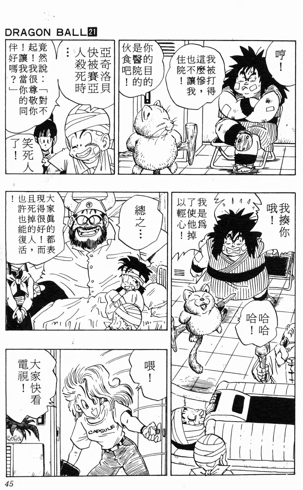 第43页