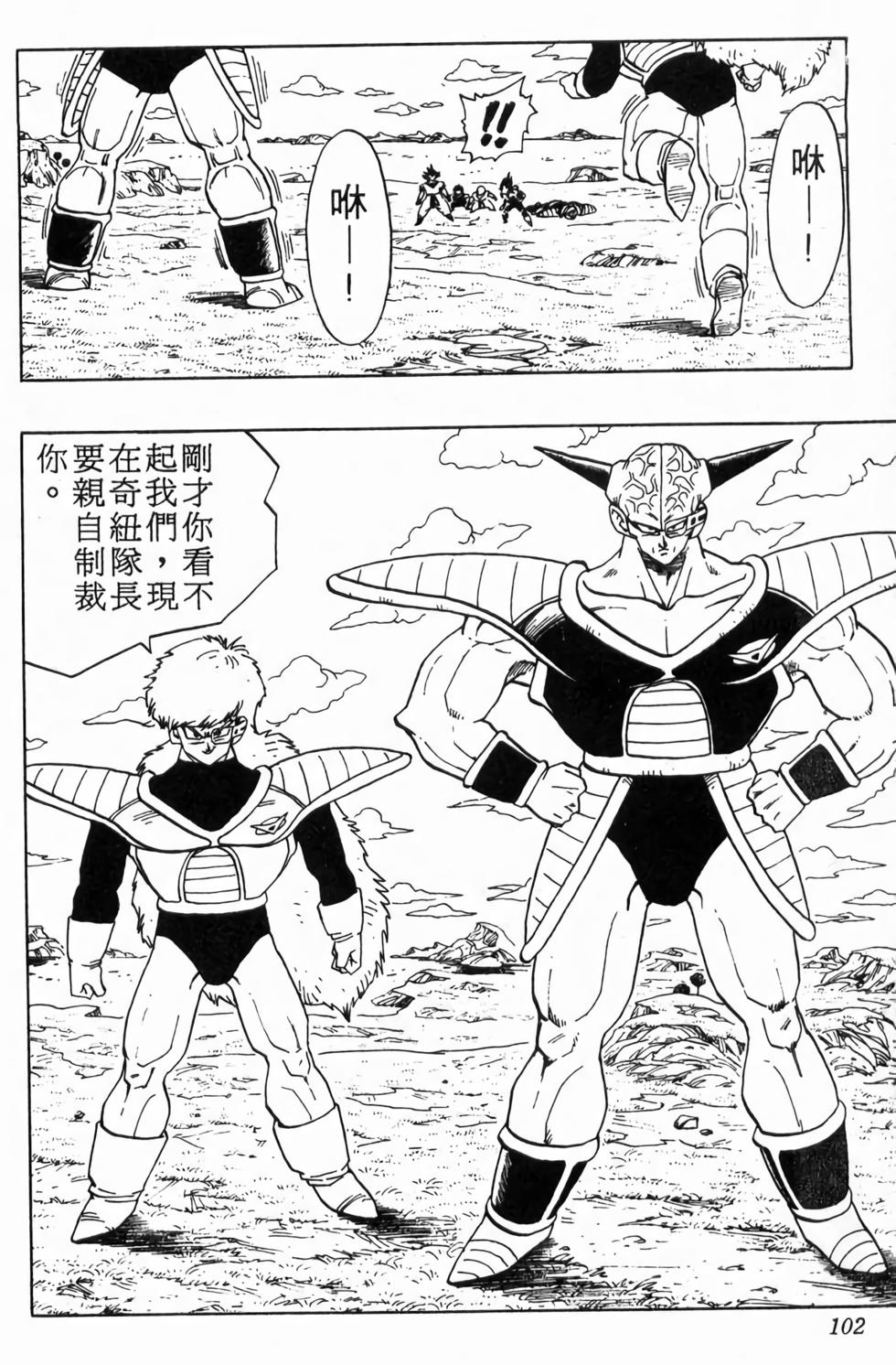 第100页