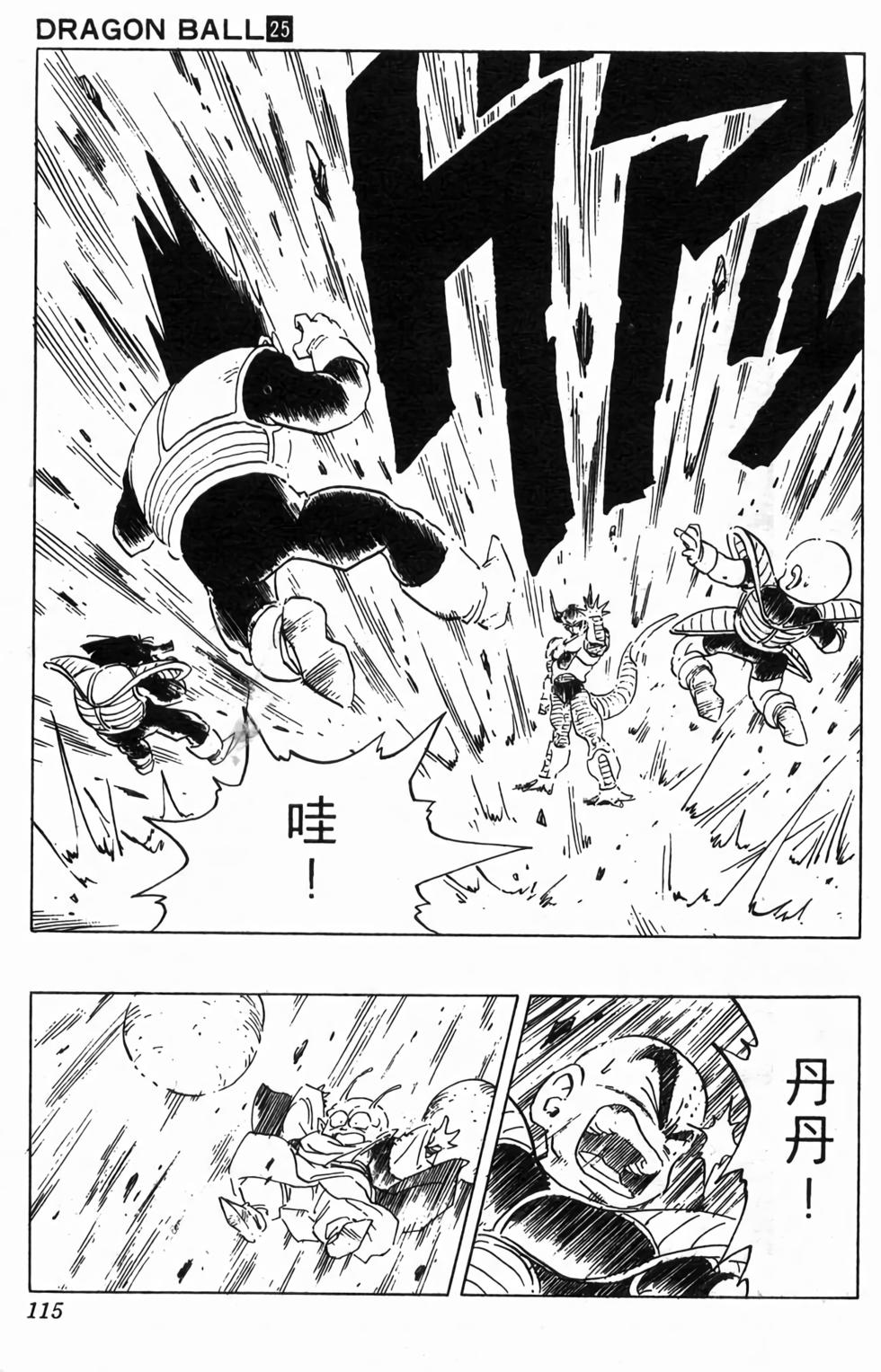 第113页