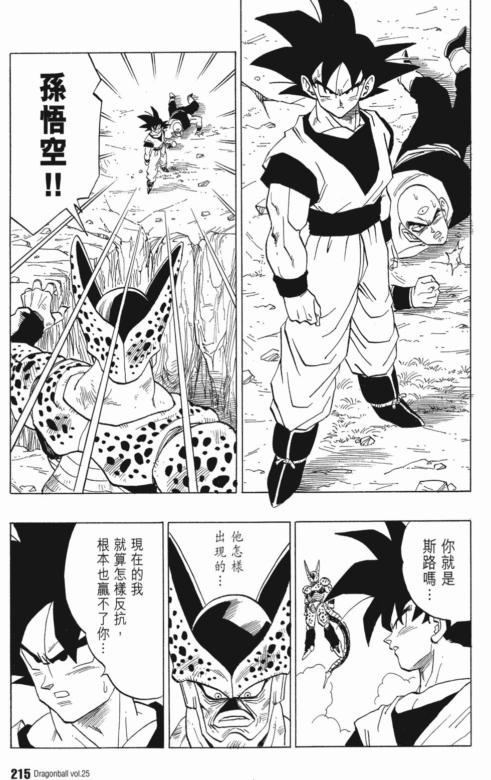 第217页