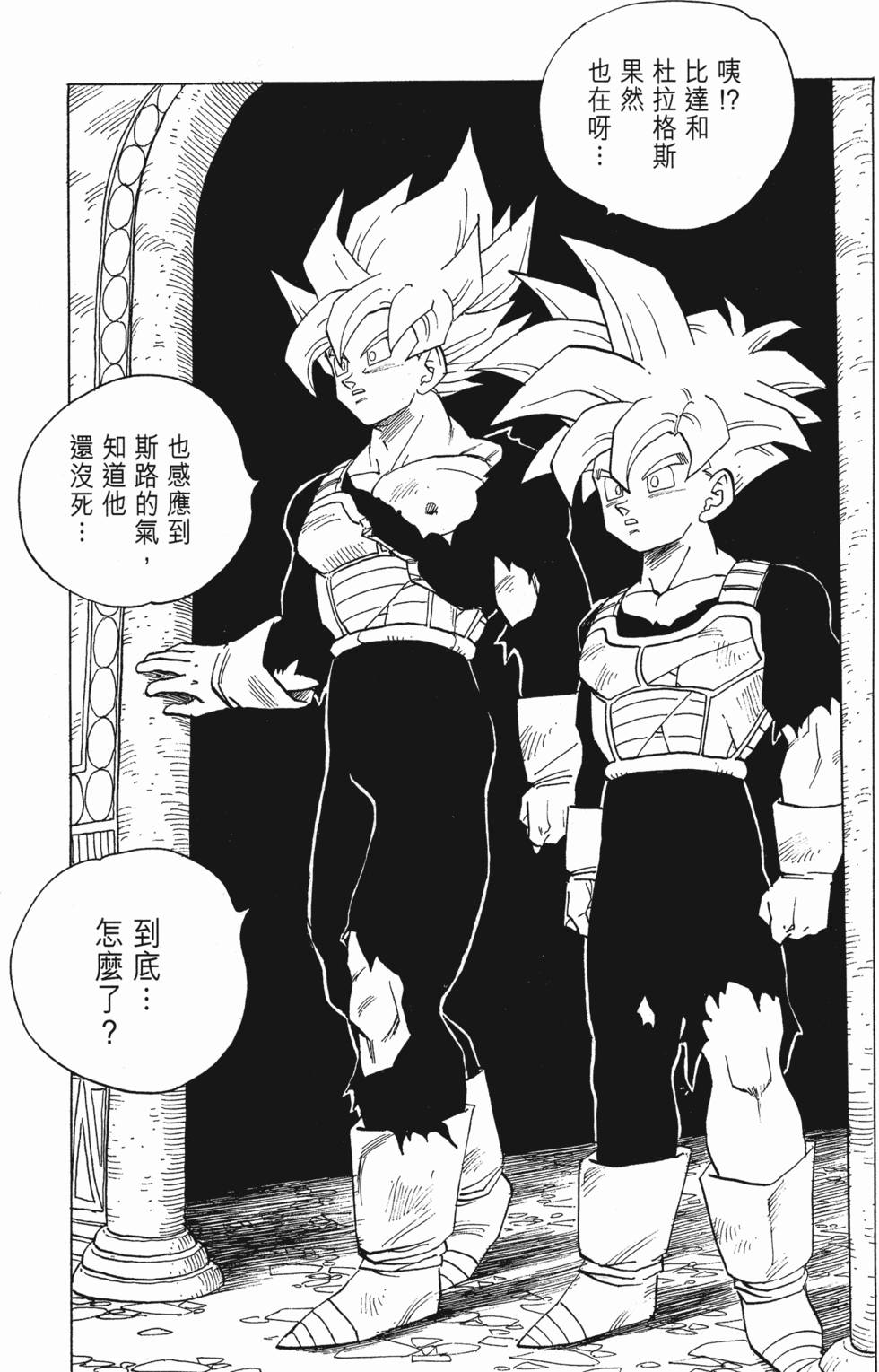 第223页