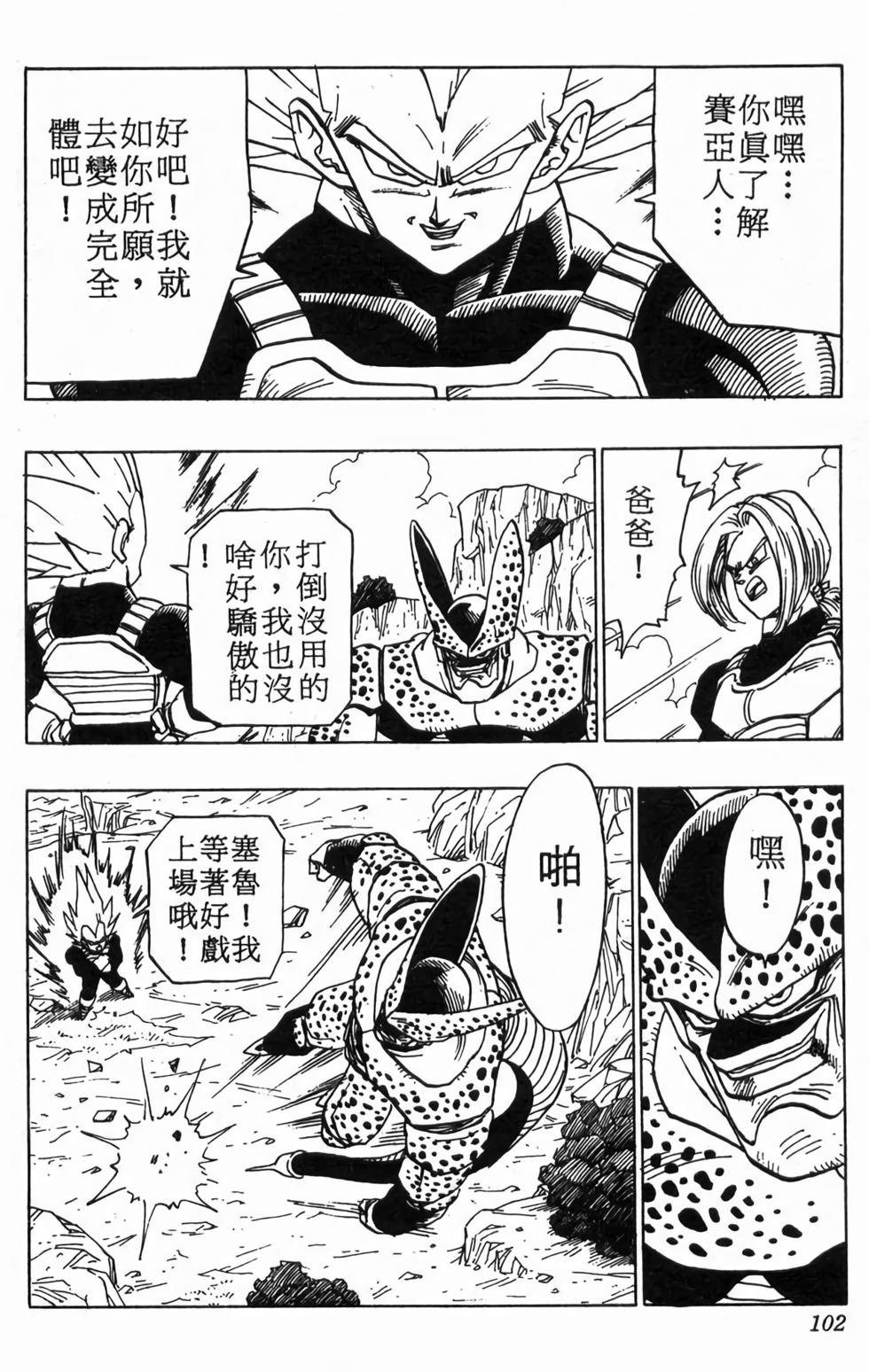 第100页