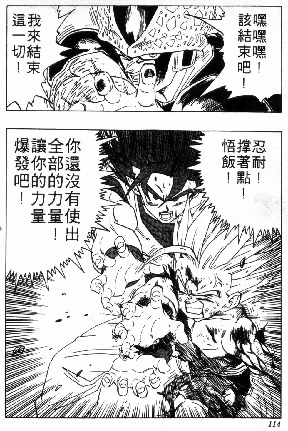 第111页