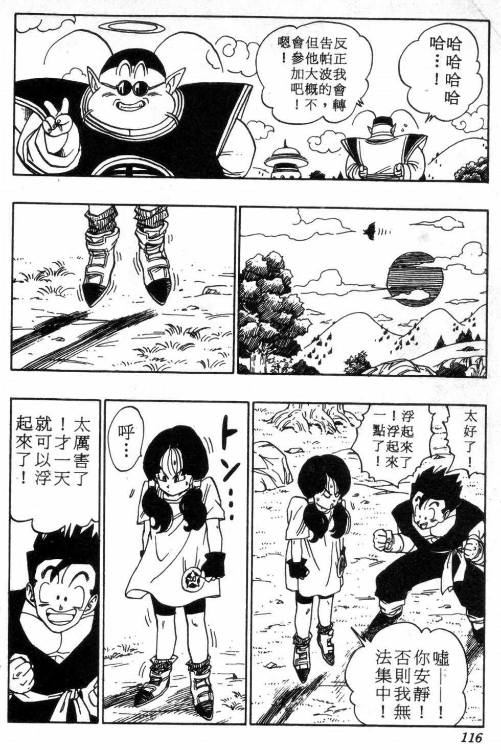 第113页