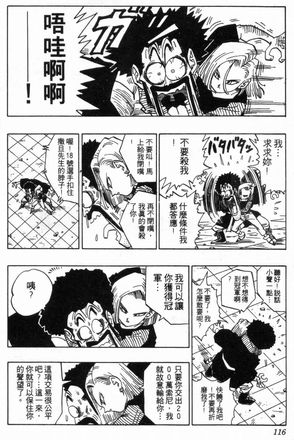 第113页