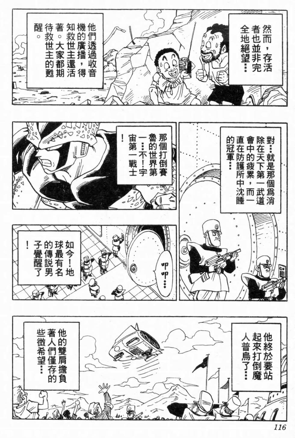 第113页