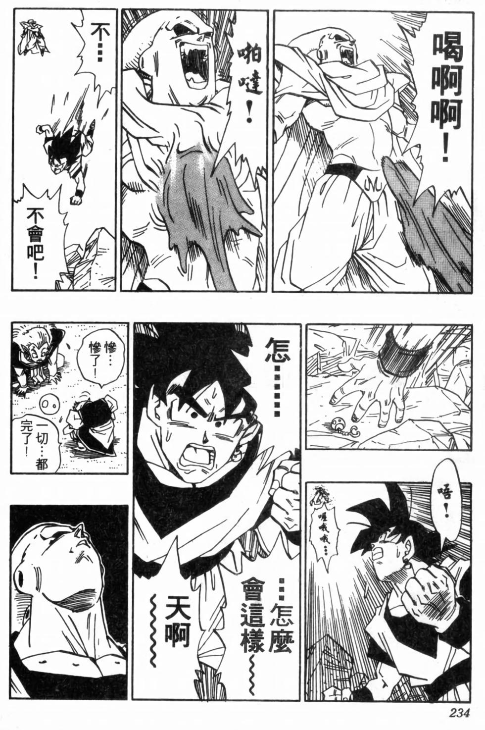 第231页