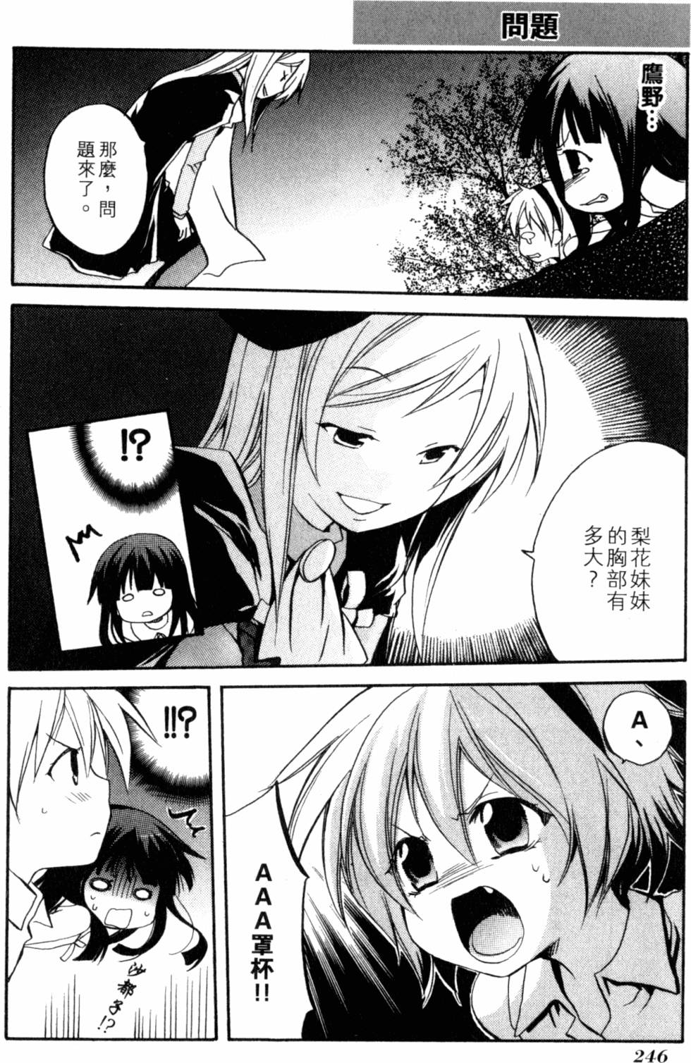 第247页