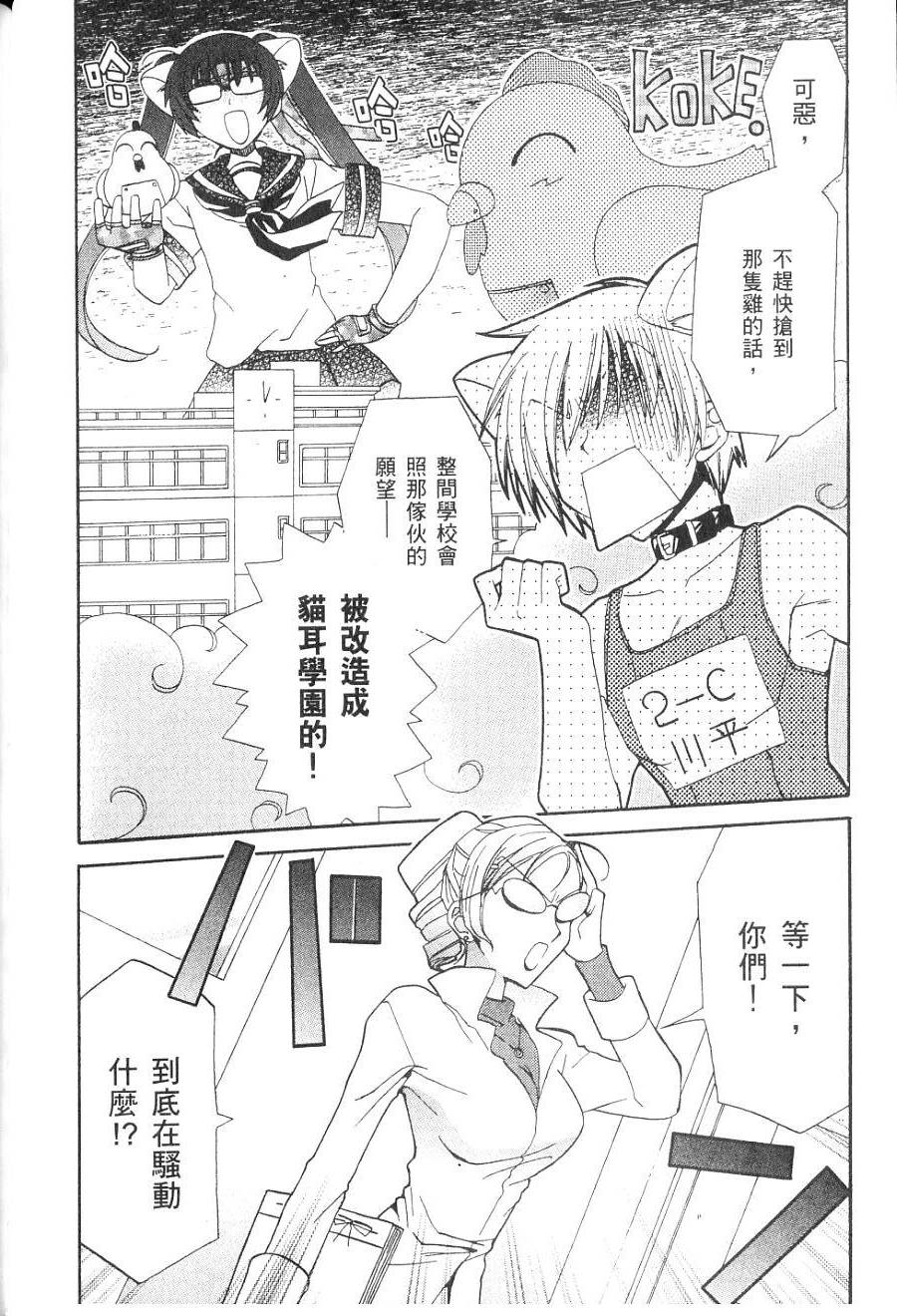 第146页