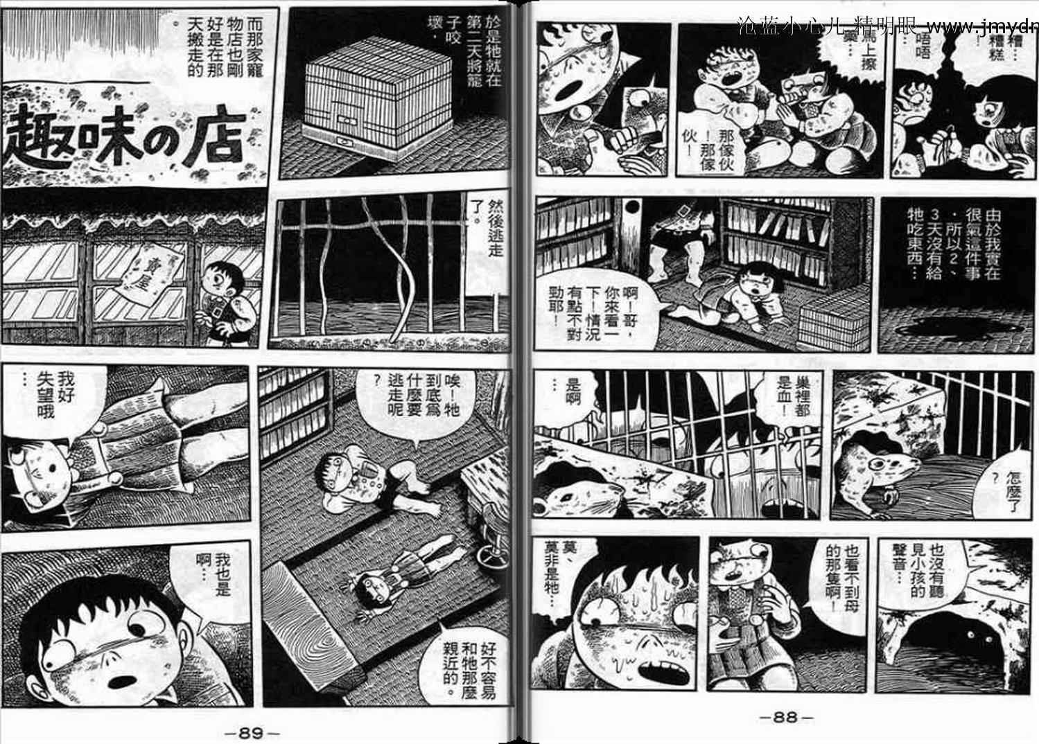 第43页