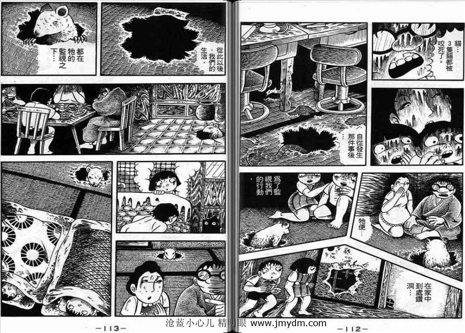 第55页