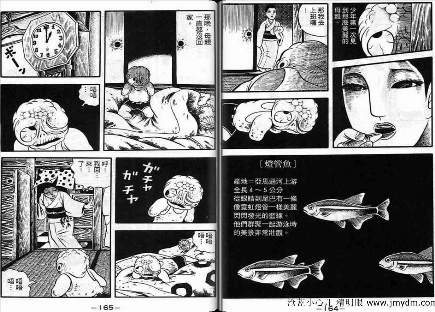 第81页