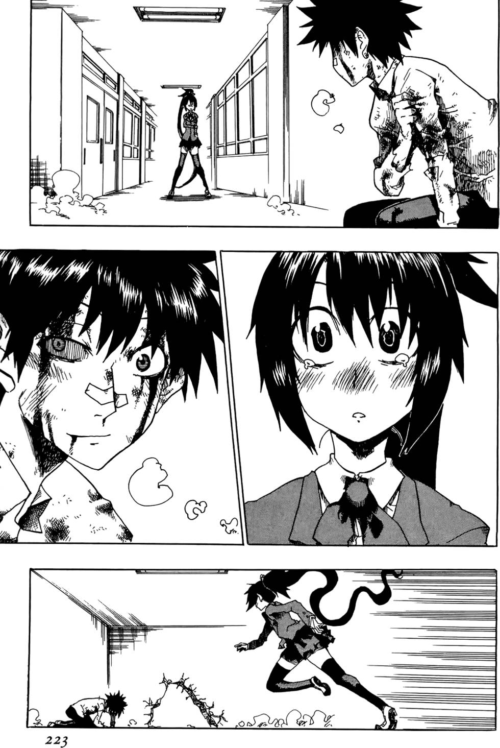 第224页