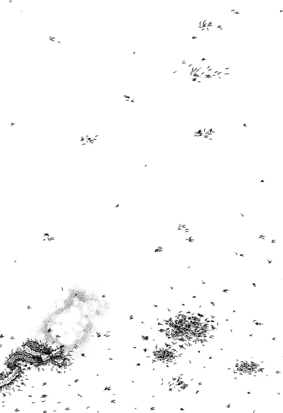 第145页