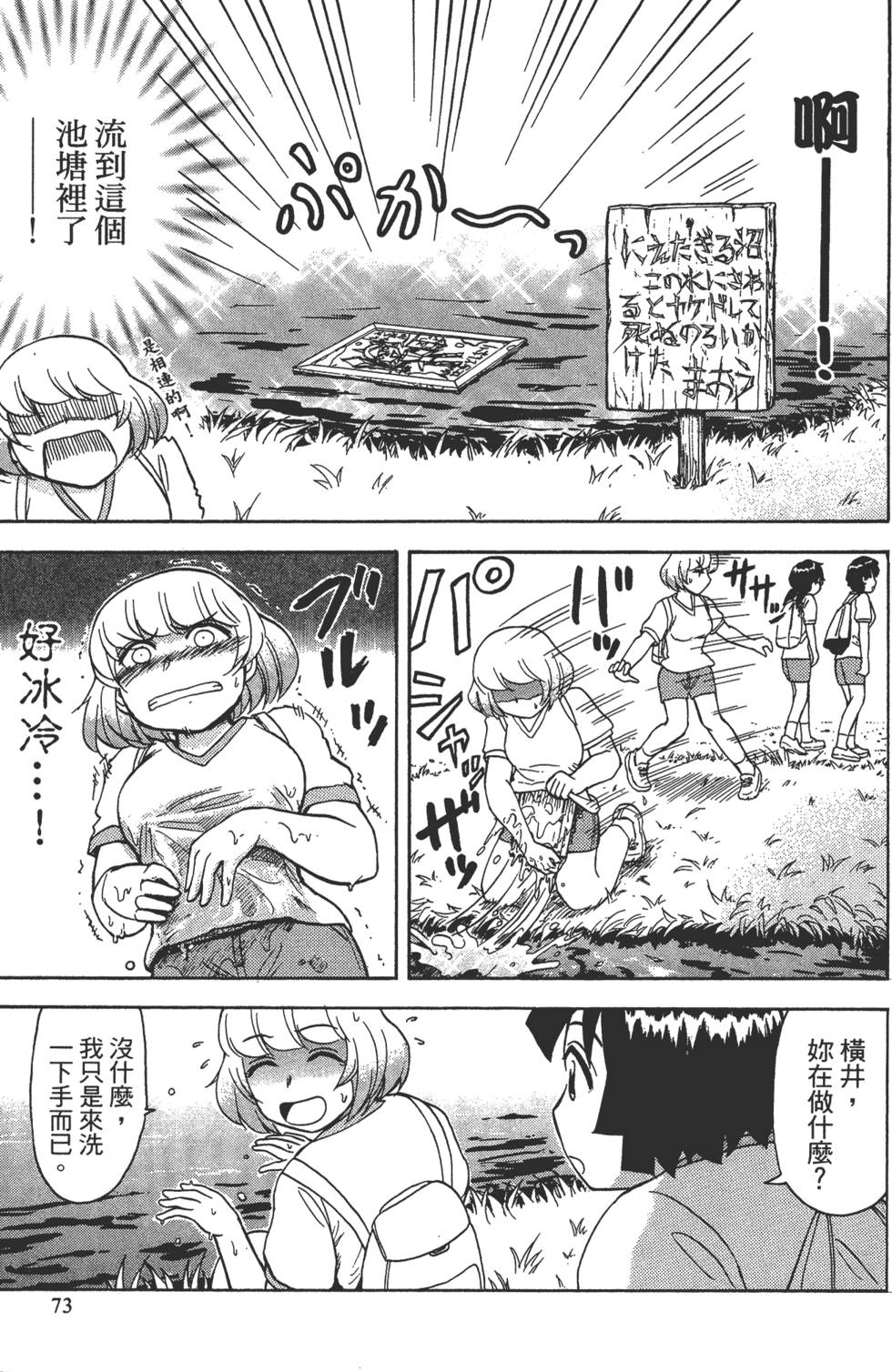第73页