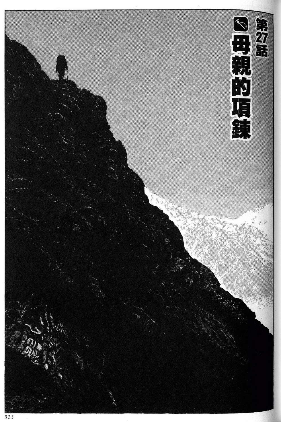 第313页