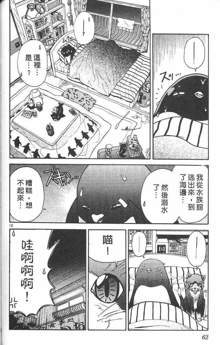 第61页