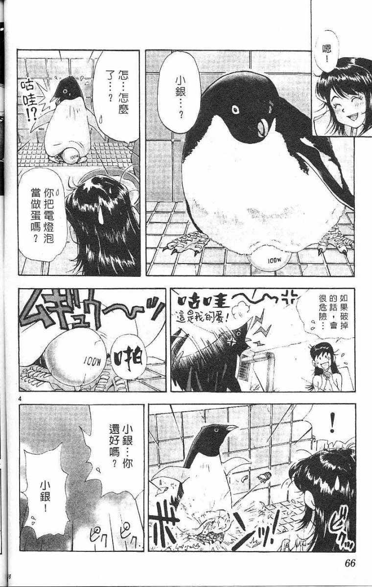 第62页