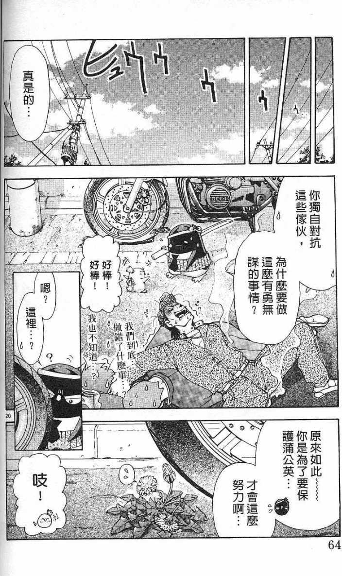 第61页