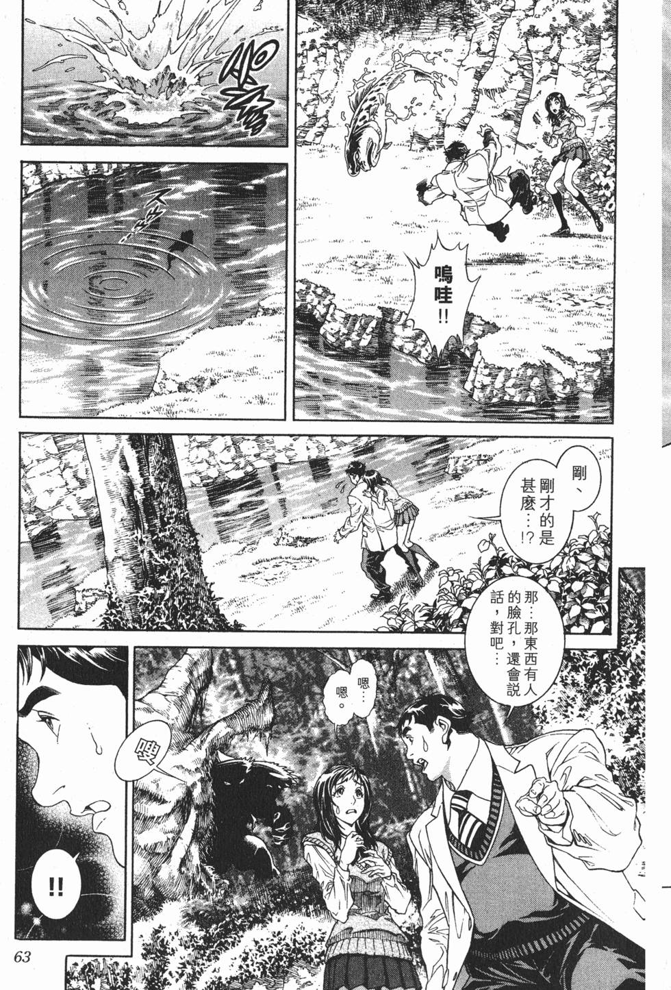 第63页