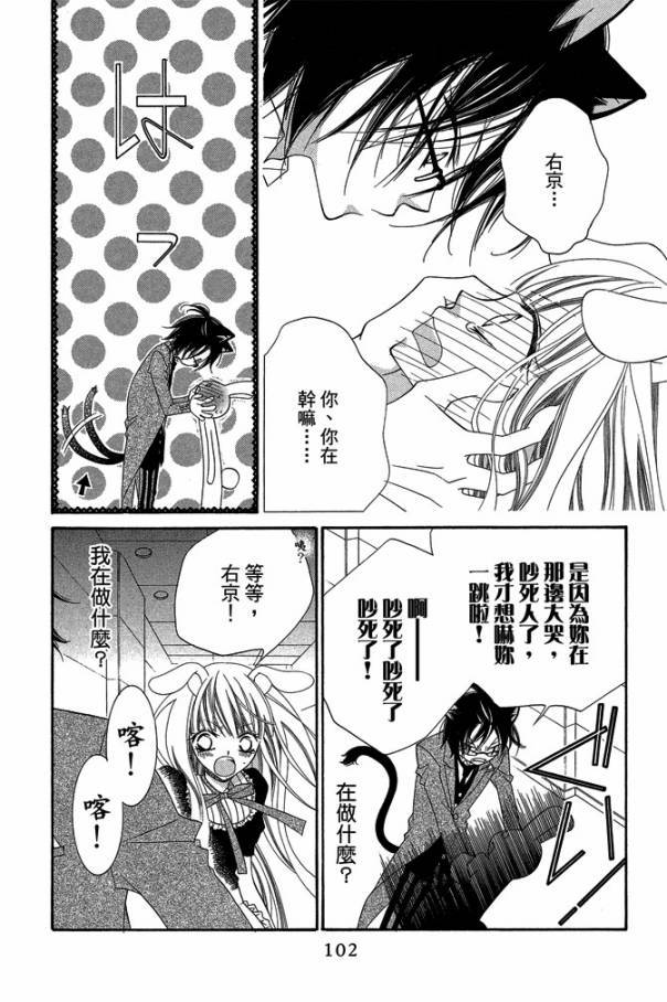 第101页