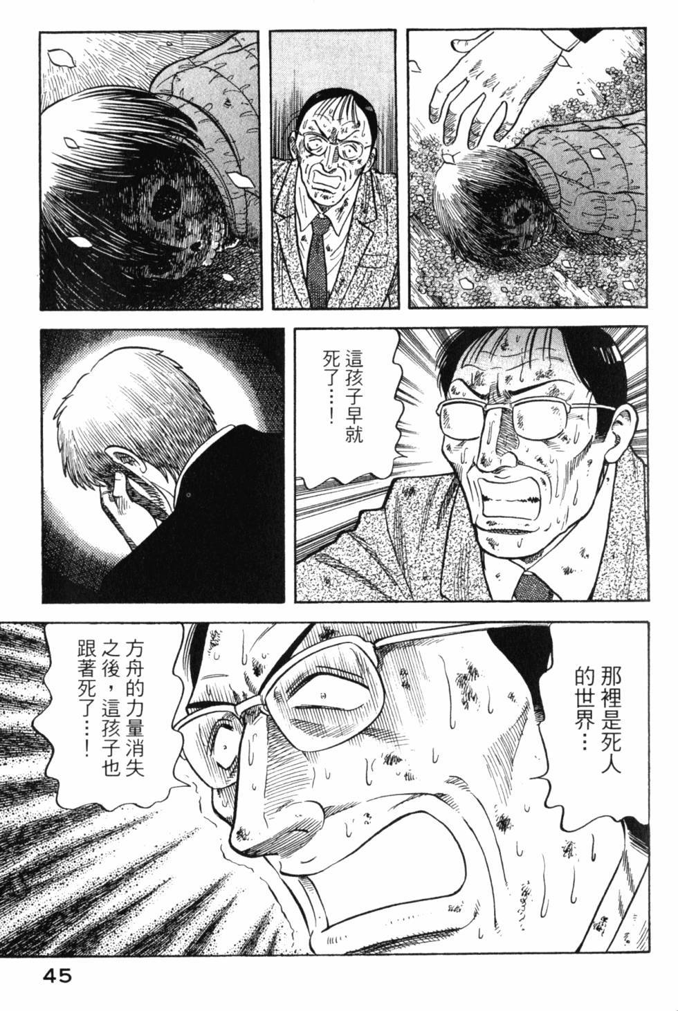第43页