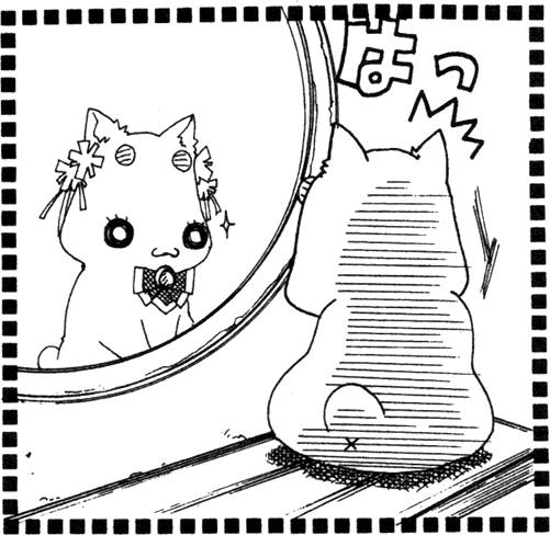 第177页