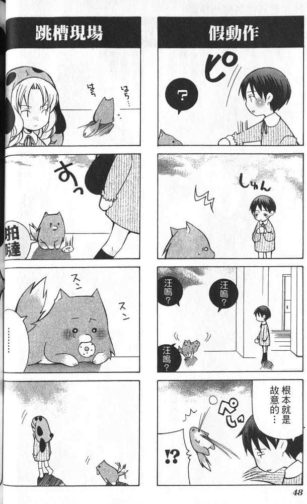 第41页