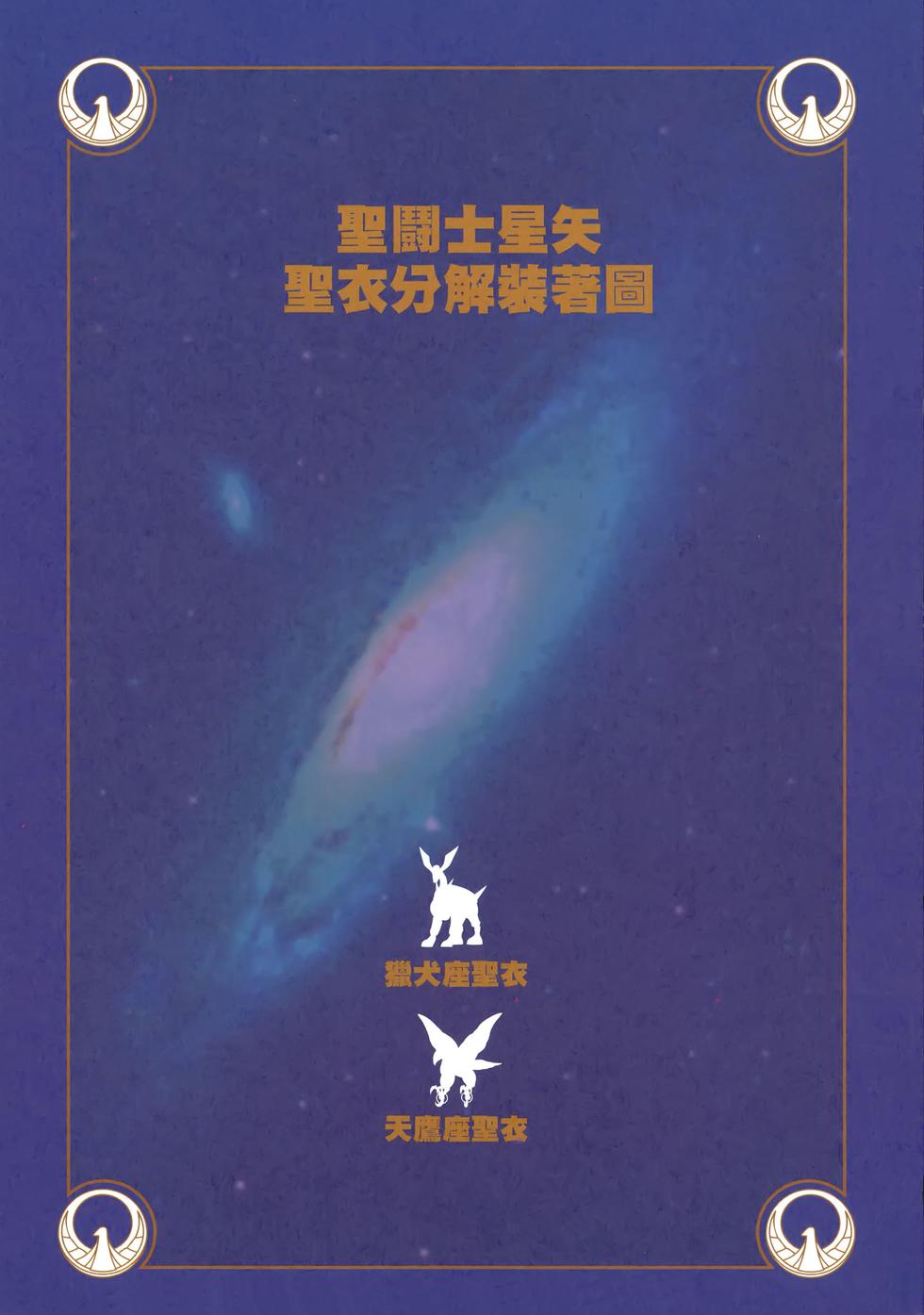 第219页