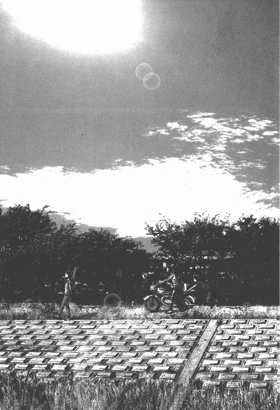 第215页