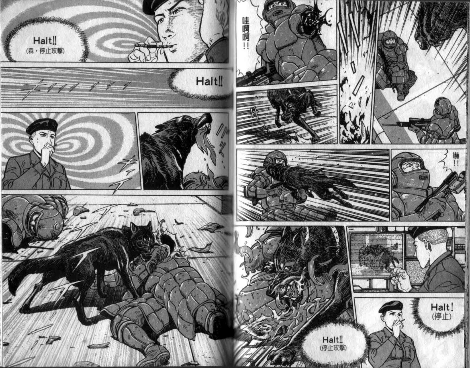 第38页