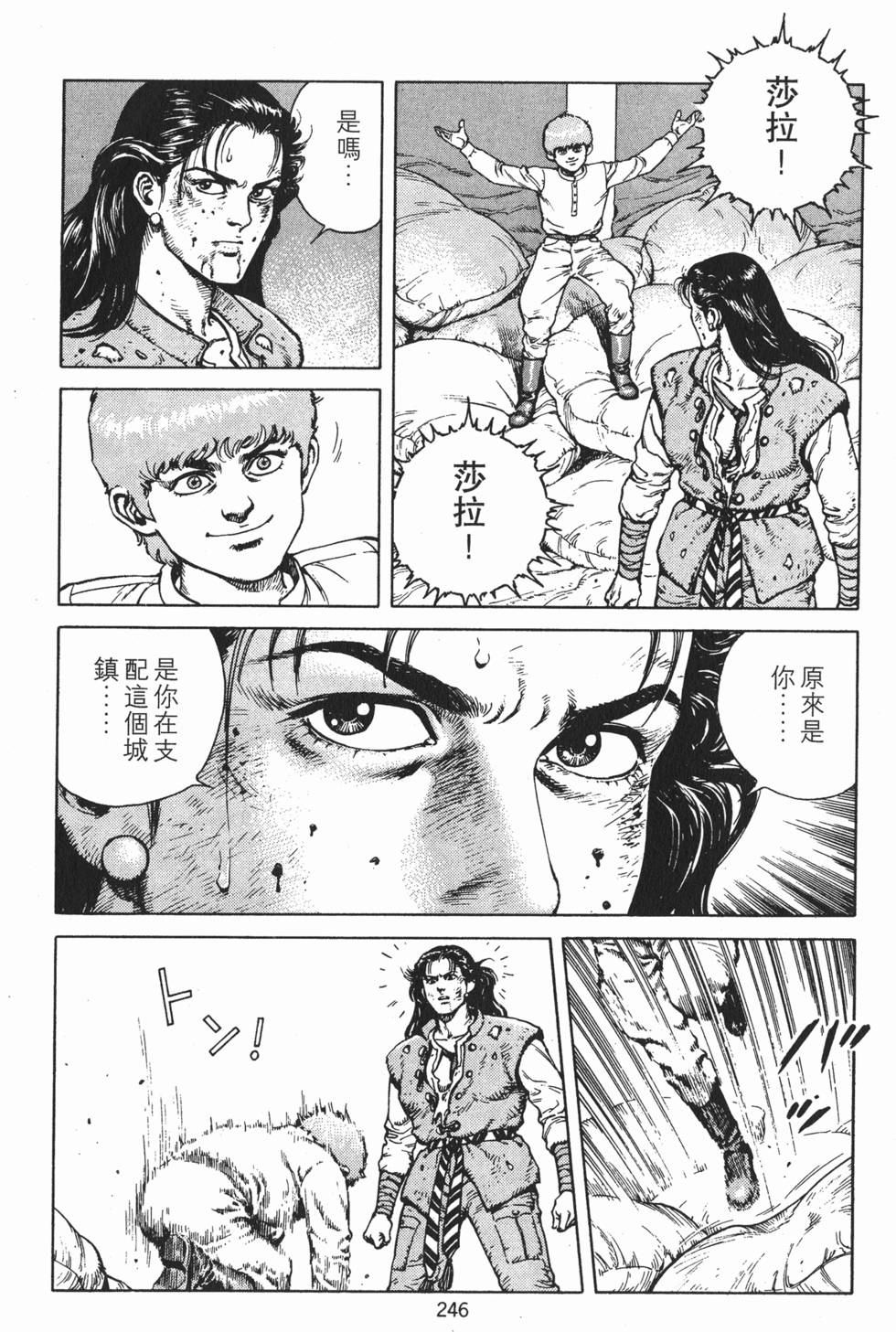 第245页