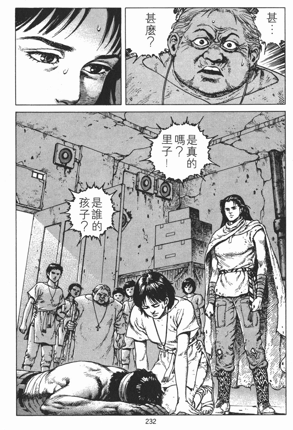 第231页