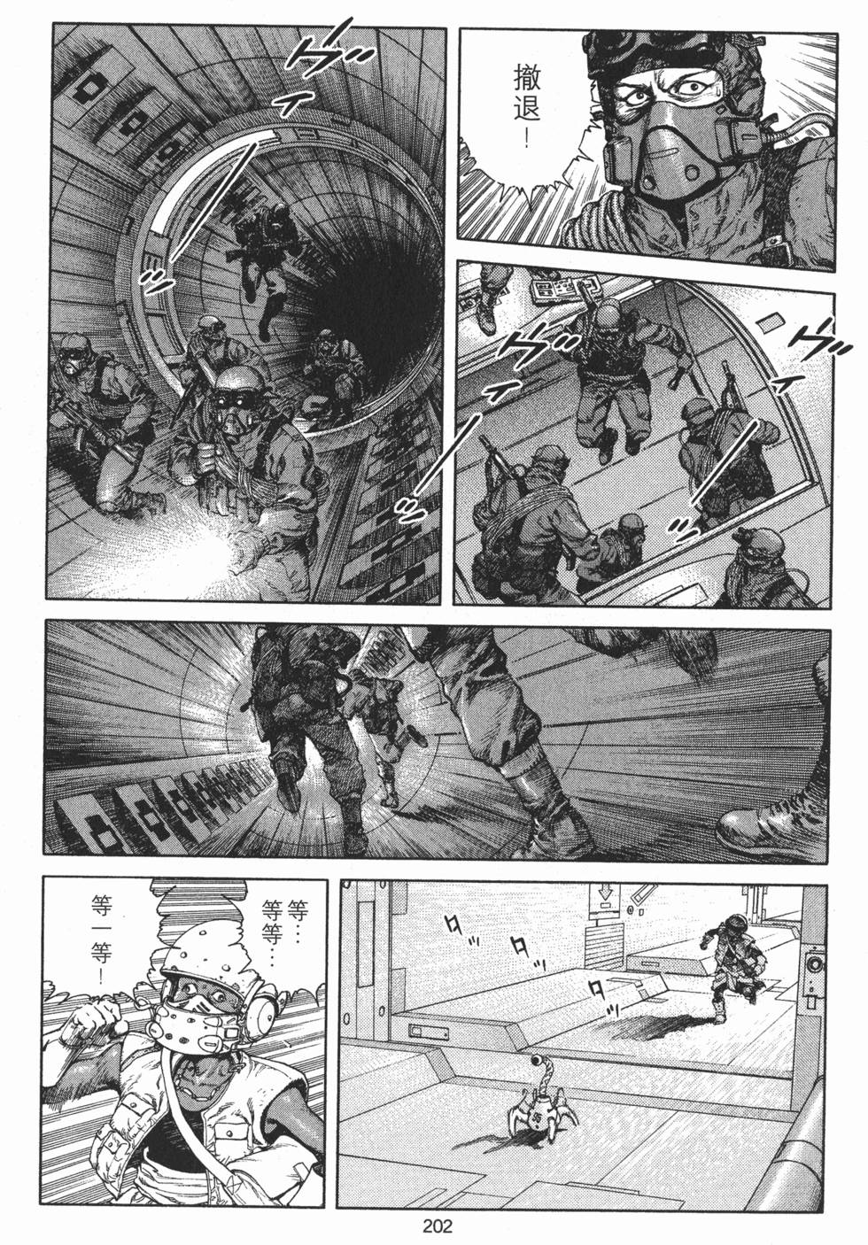 第202页