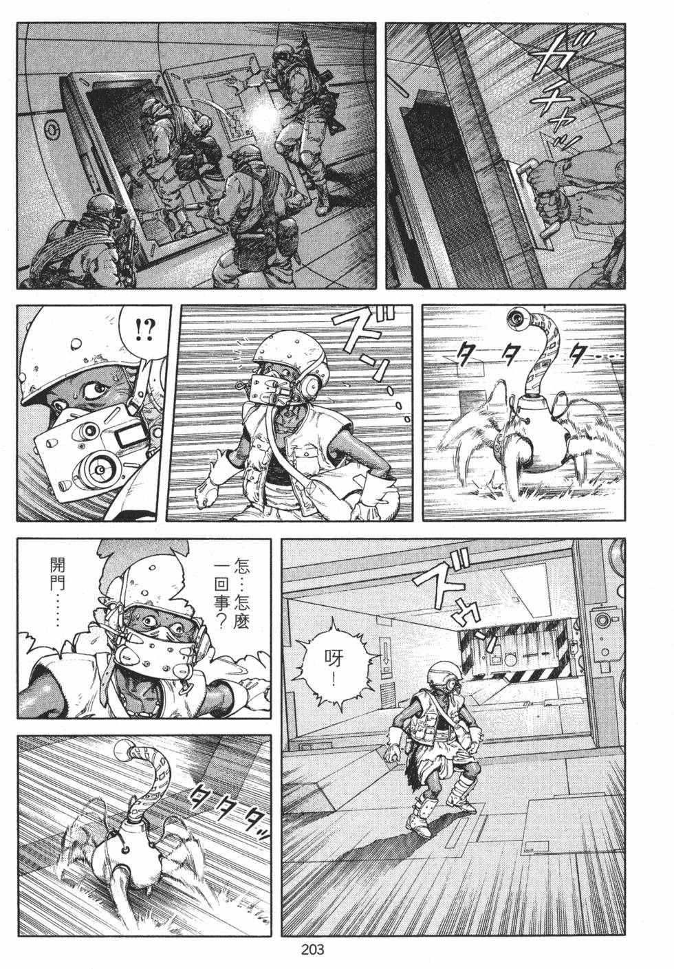 第203页