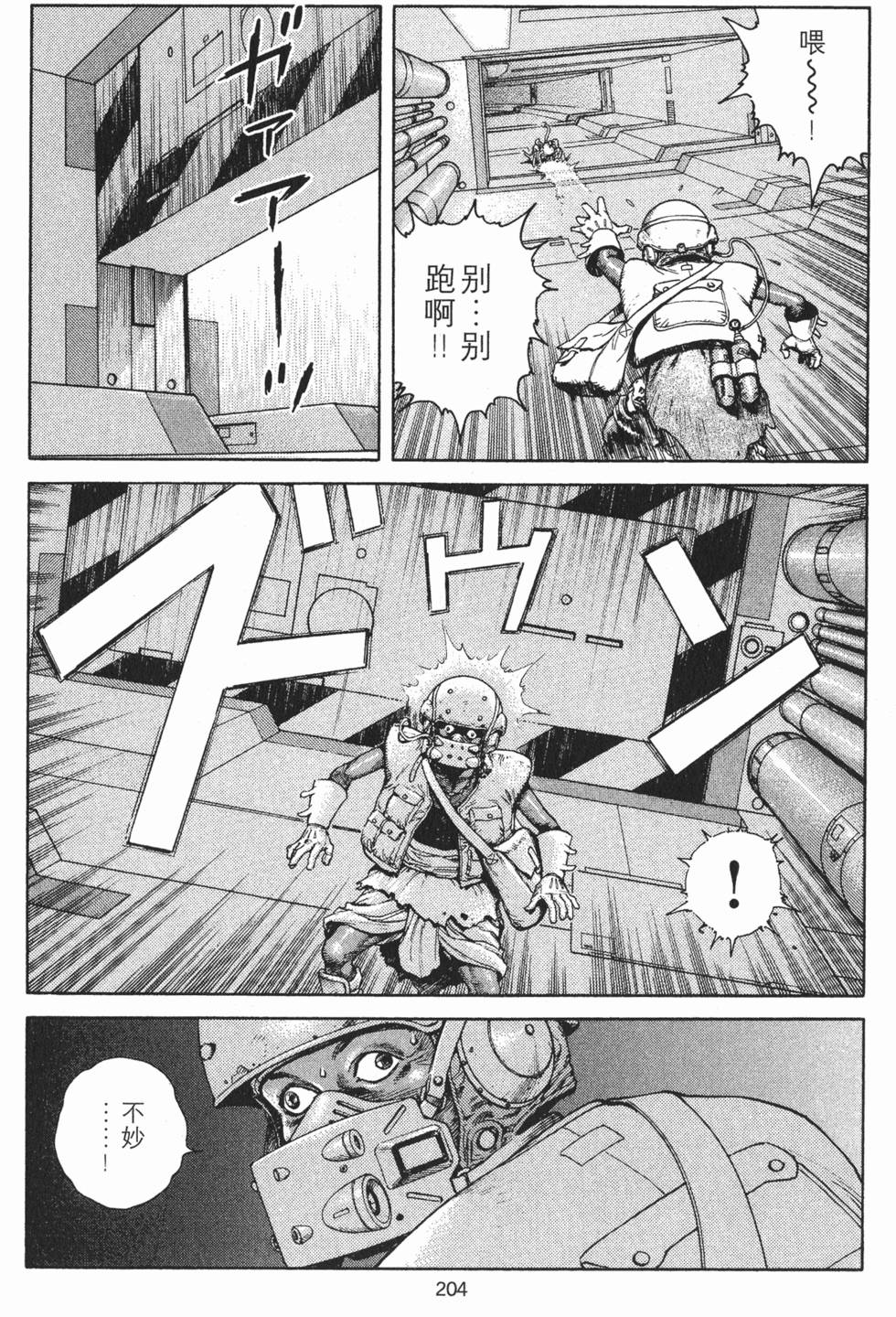 第204页
