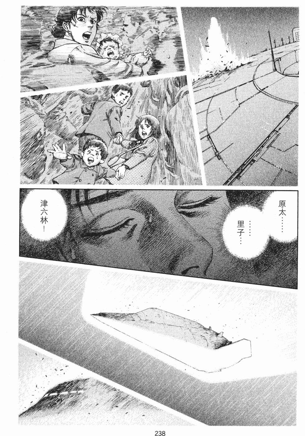 第238页