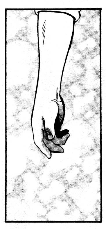 第186页
