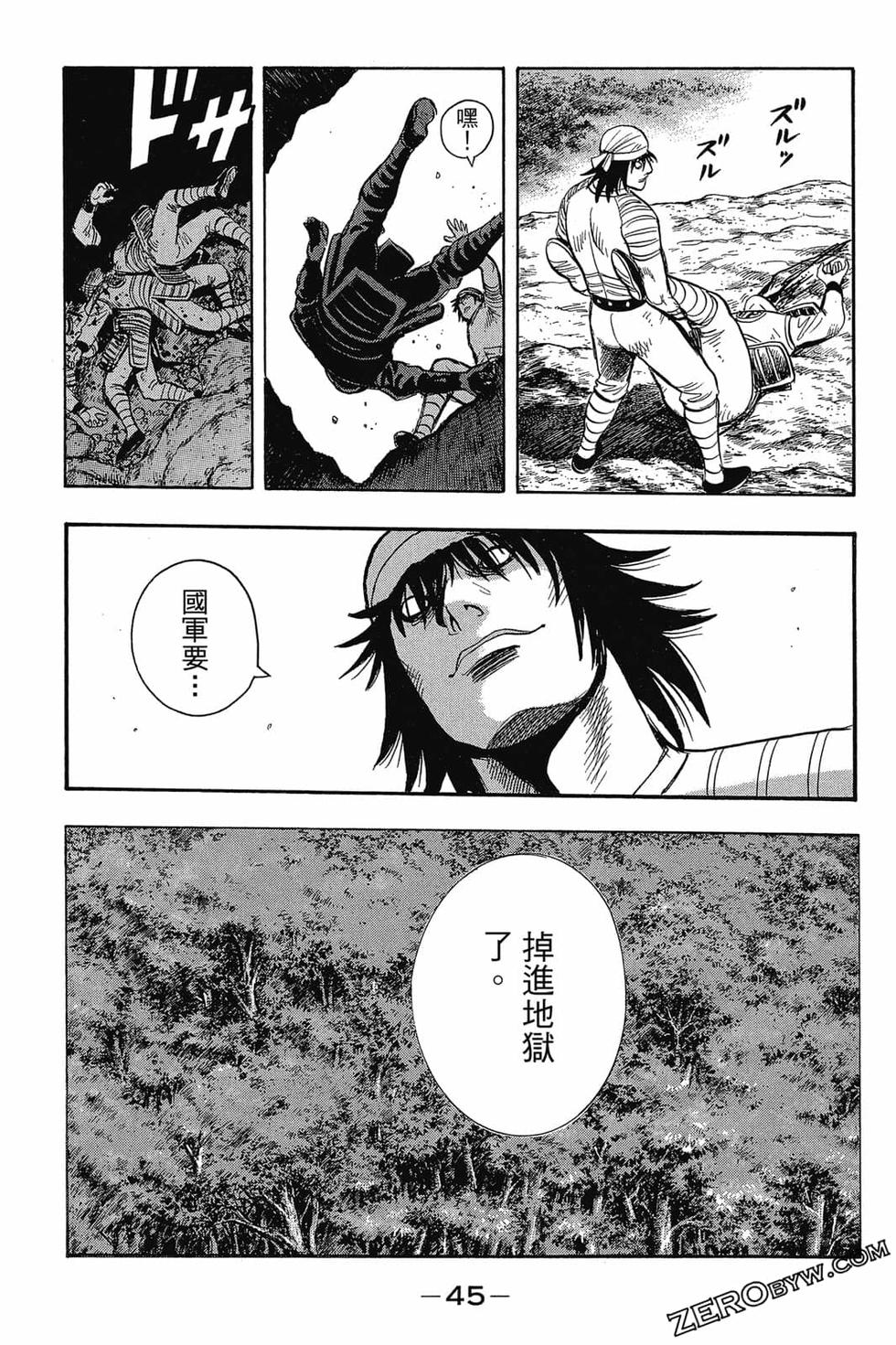 第43页