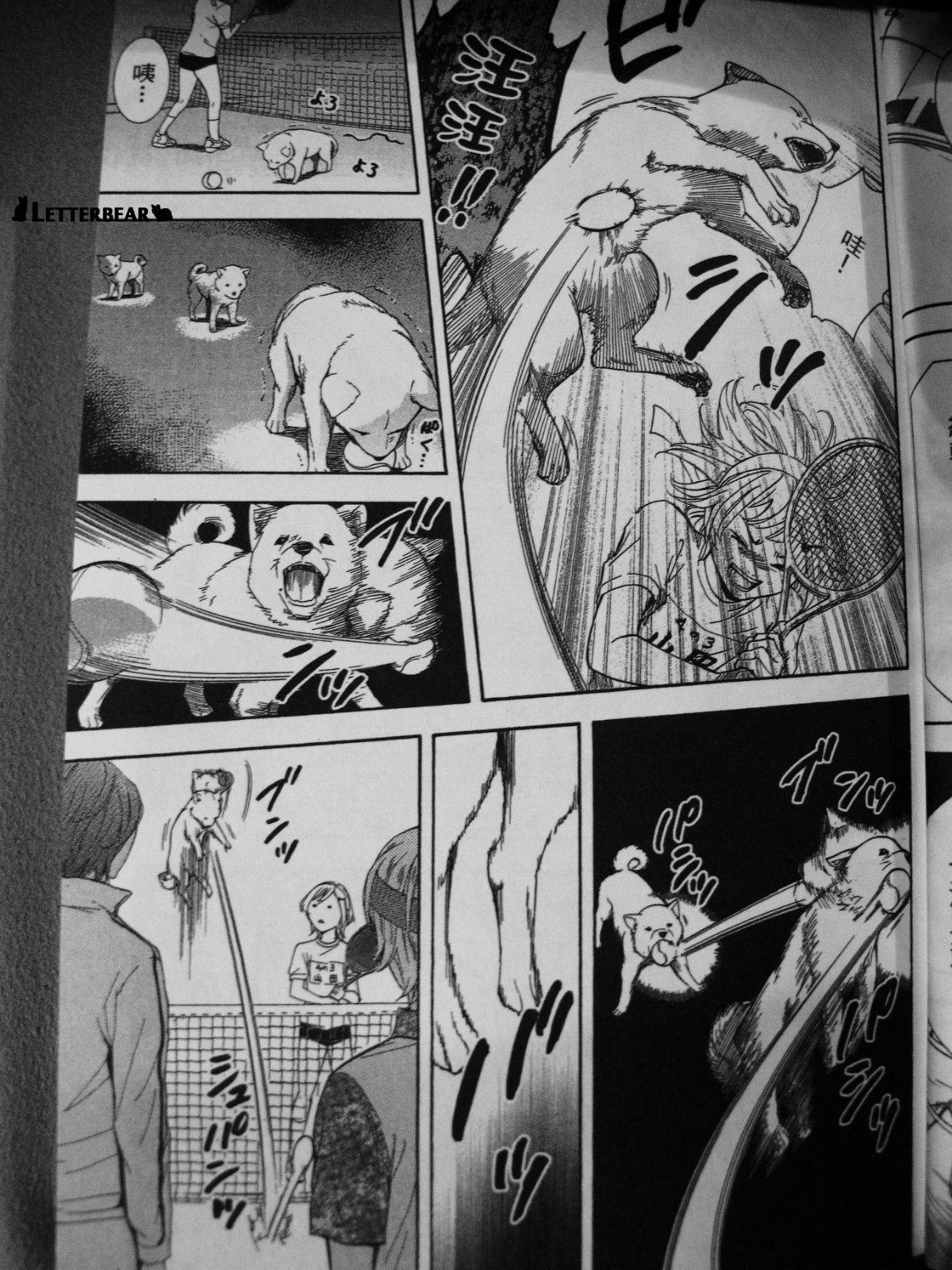 第23页