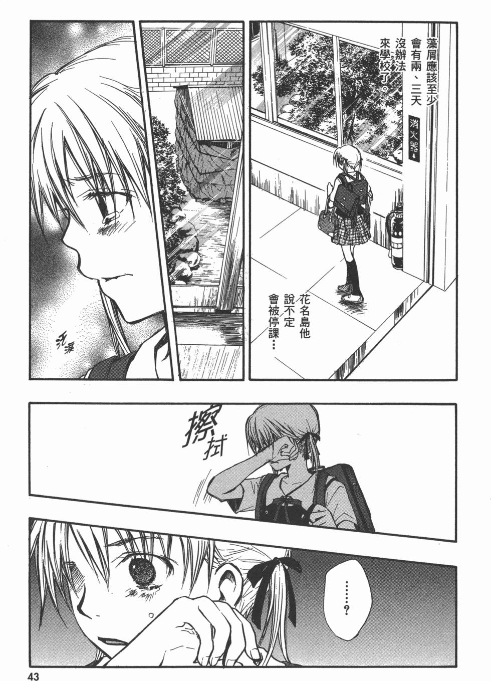 第43页