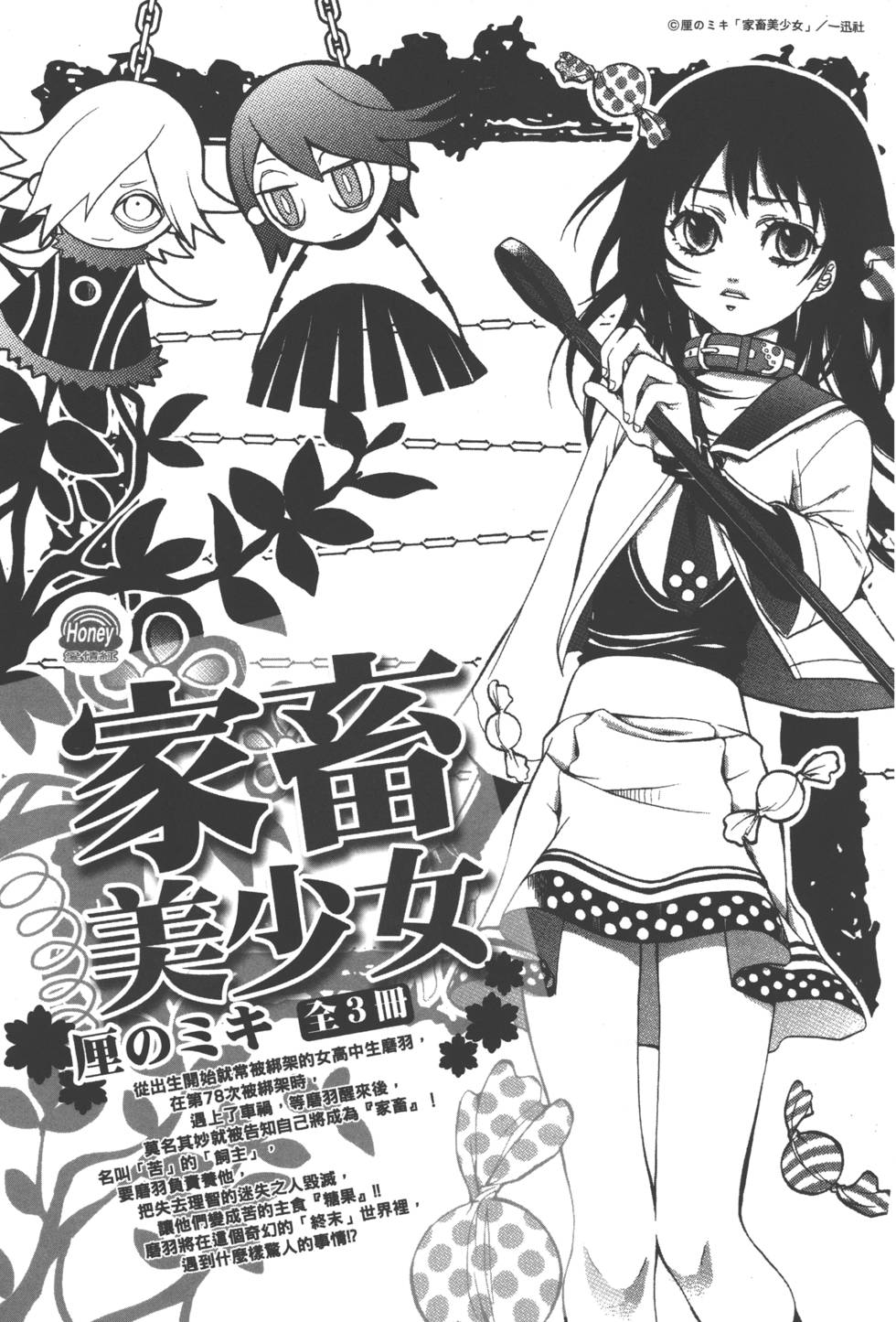 第205页
