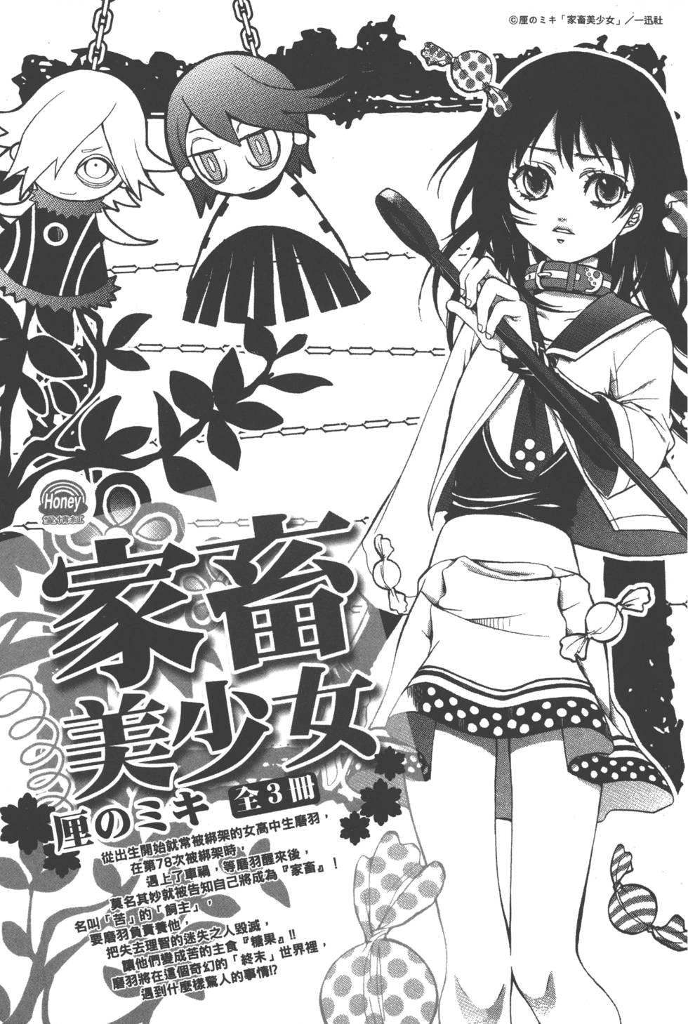 第205页