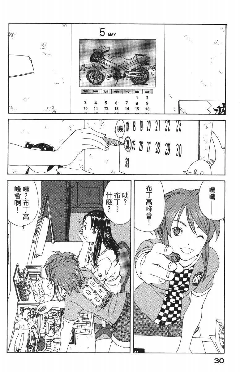 第30页