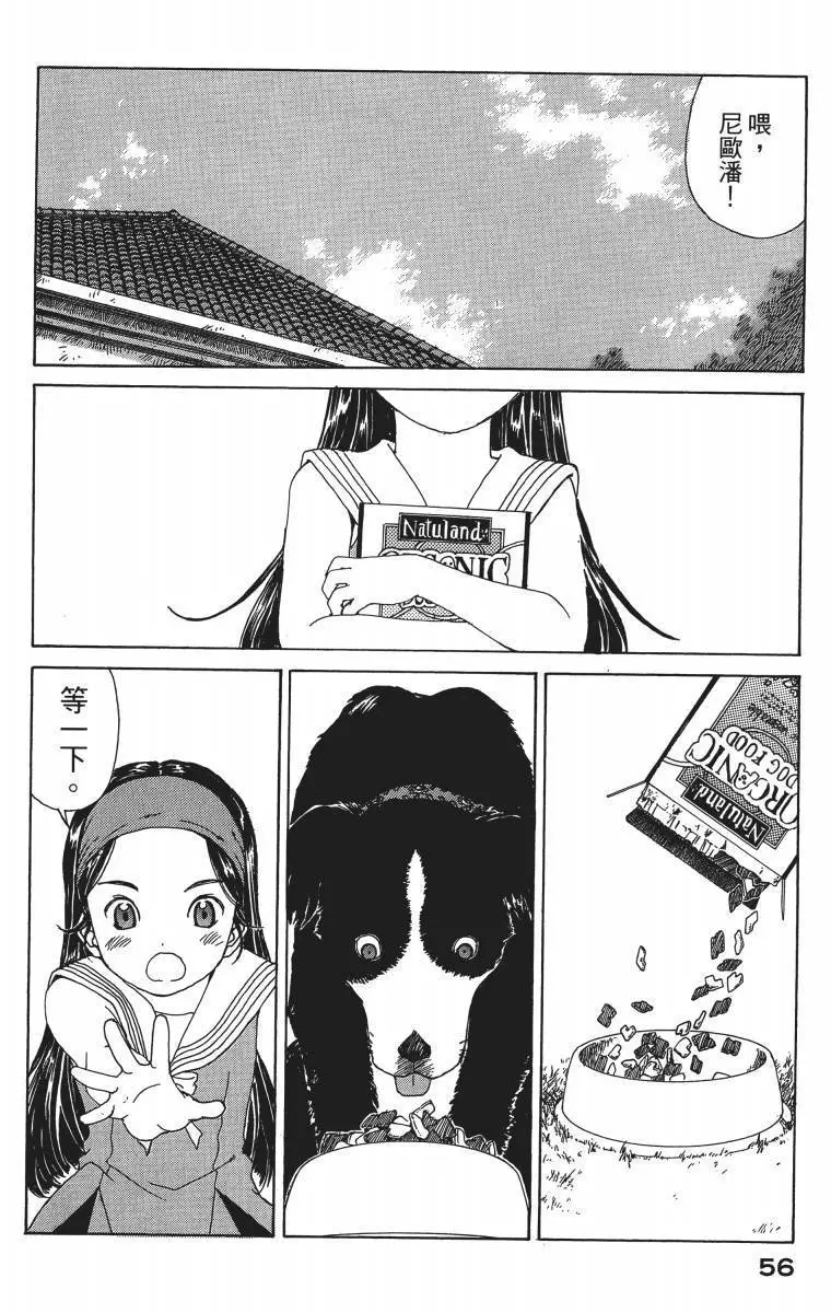 第55页