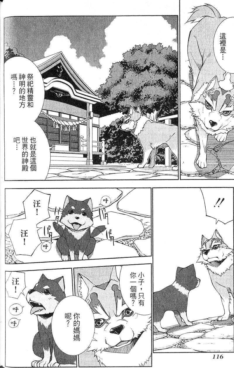 第116页