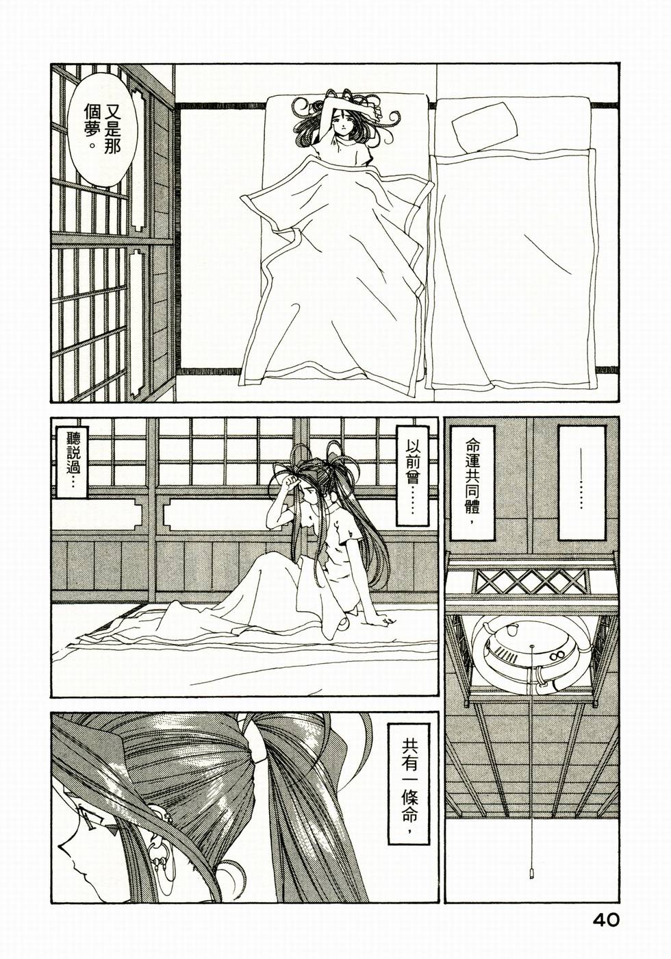 第40页